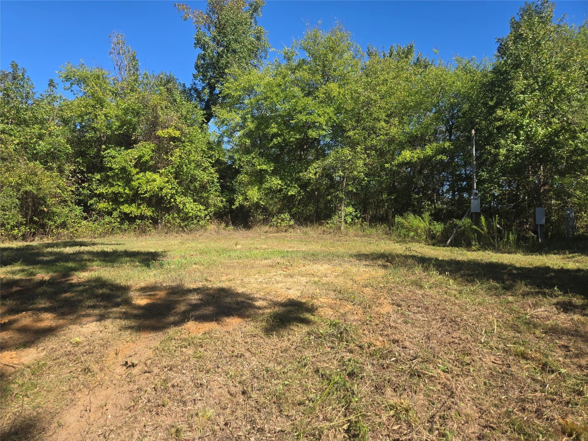 12.56 acres in Titus County - photo 2