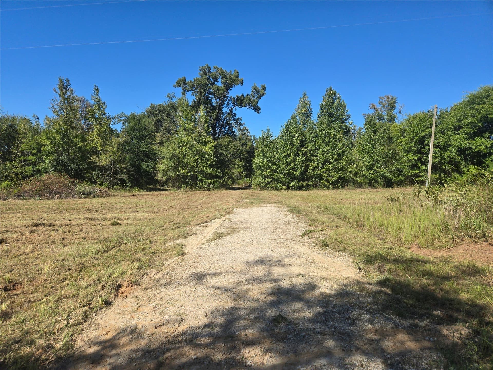 12.56 acres in Titus County - photo 3