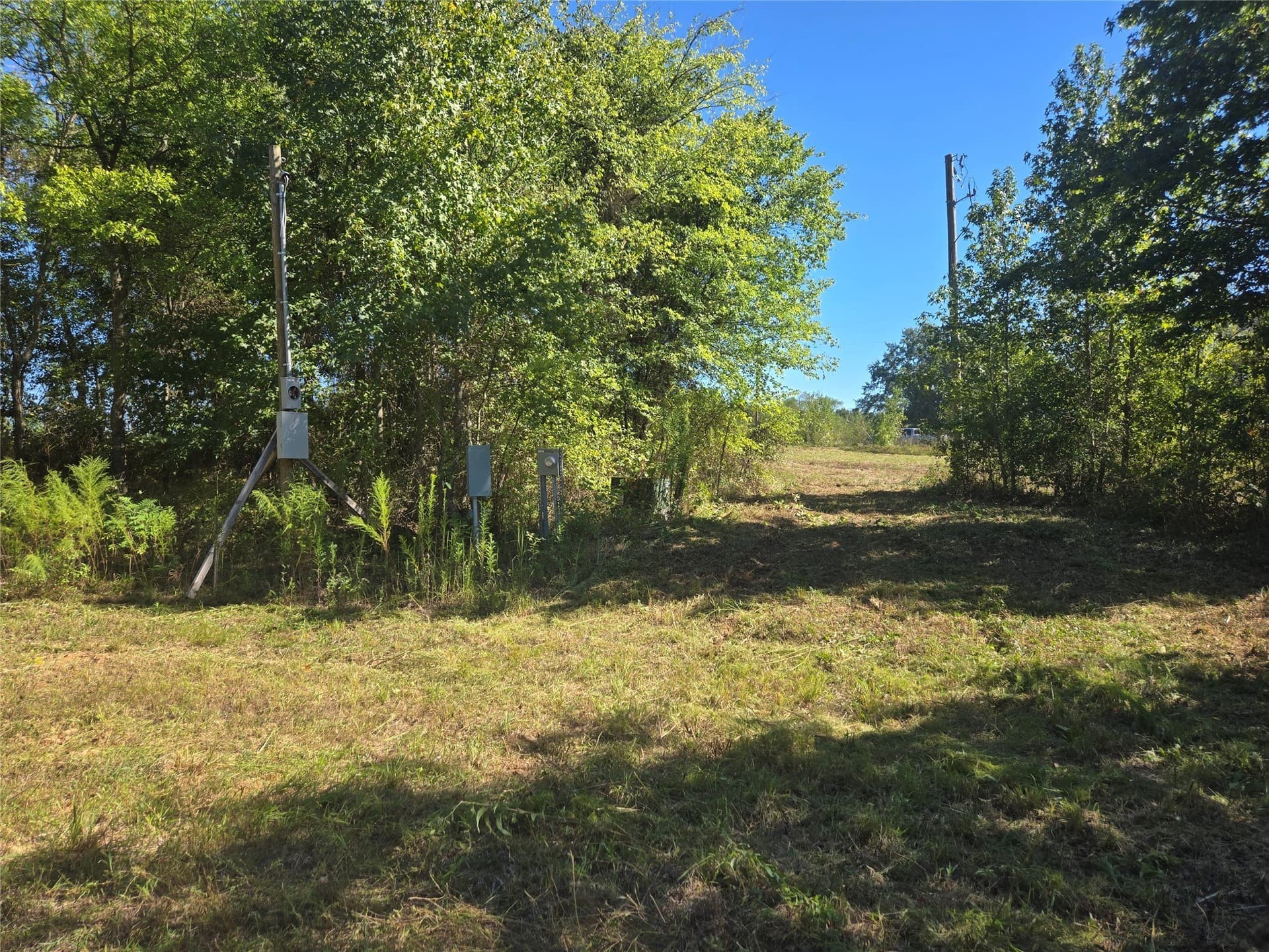 12.56 acres in Titus County - photo 5
