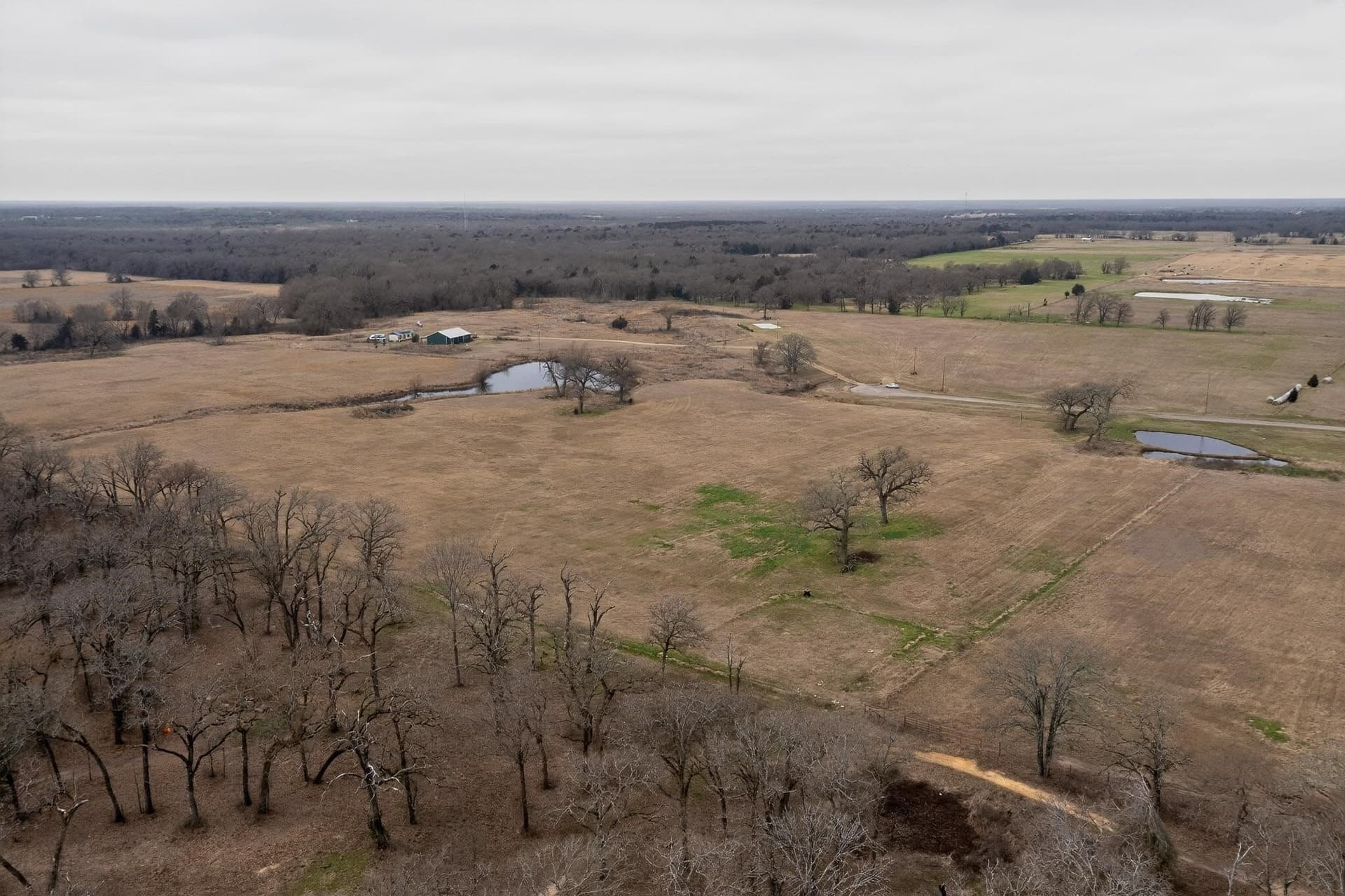 12.95 acres in Henderson County - photo 13
