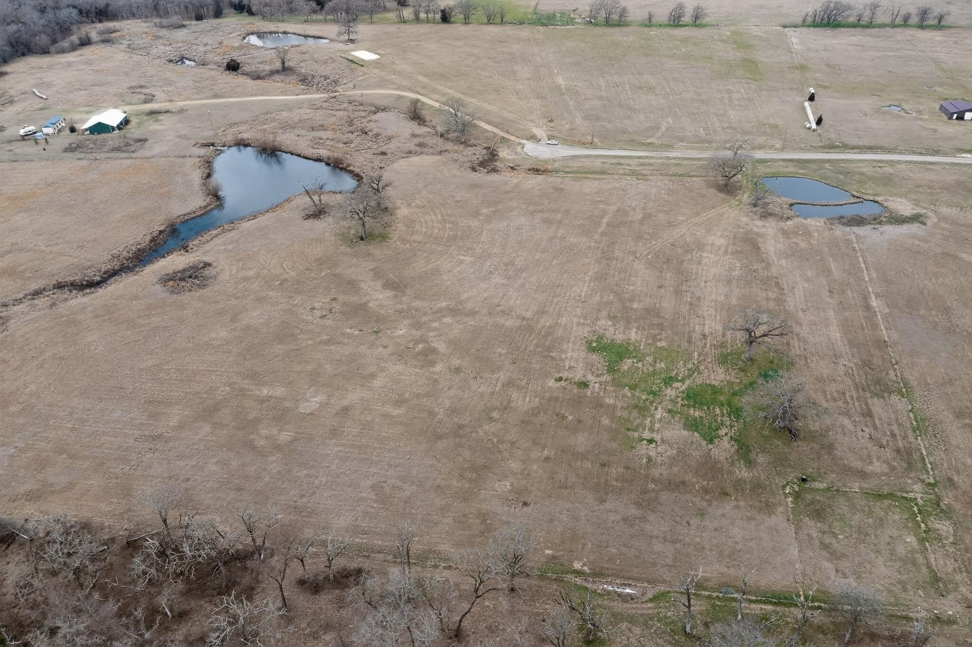 12.95 acres in Henderson County - photo 6