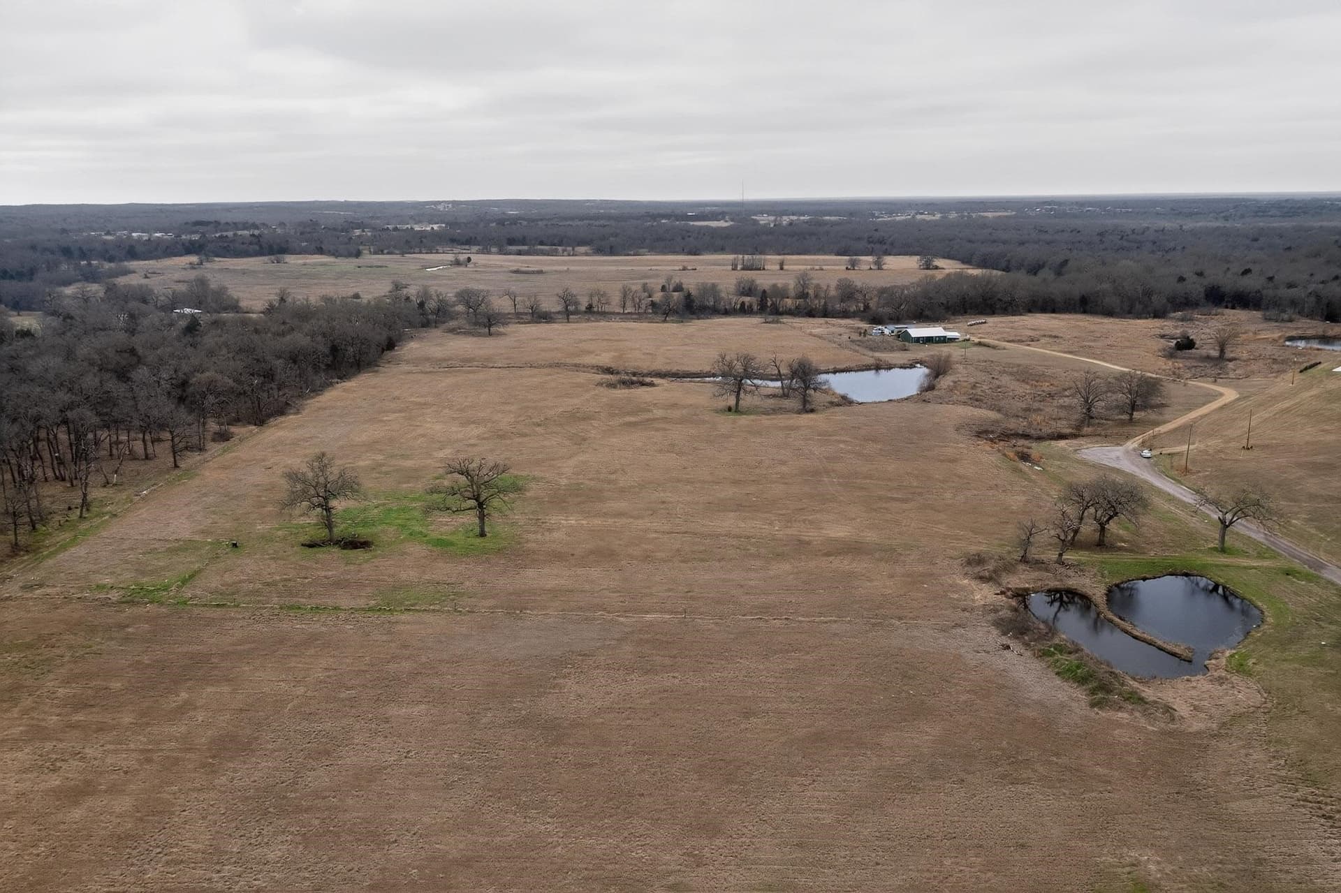 12.95 acres in Henderson County - photo 14