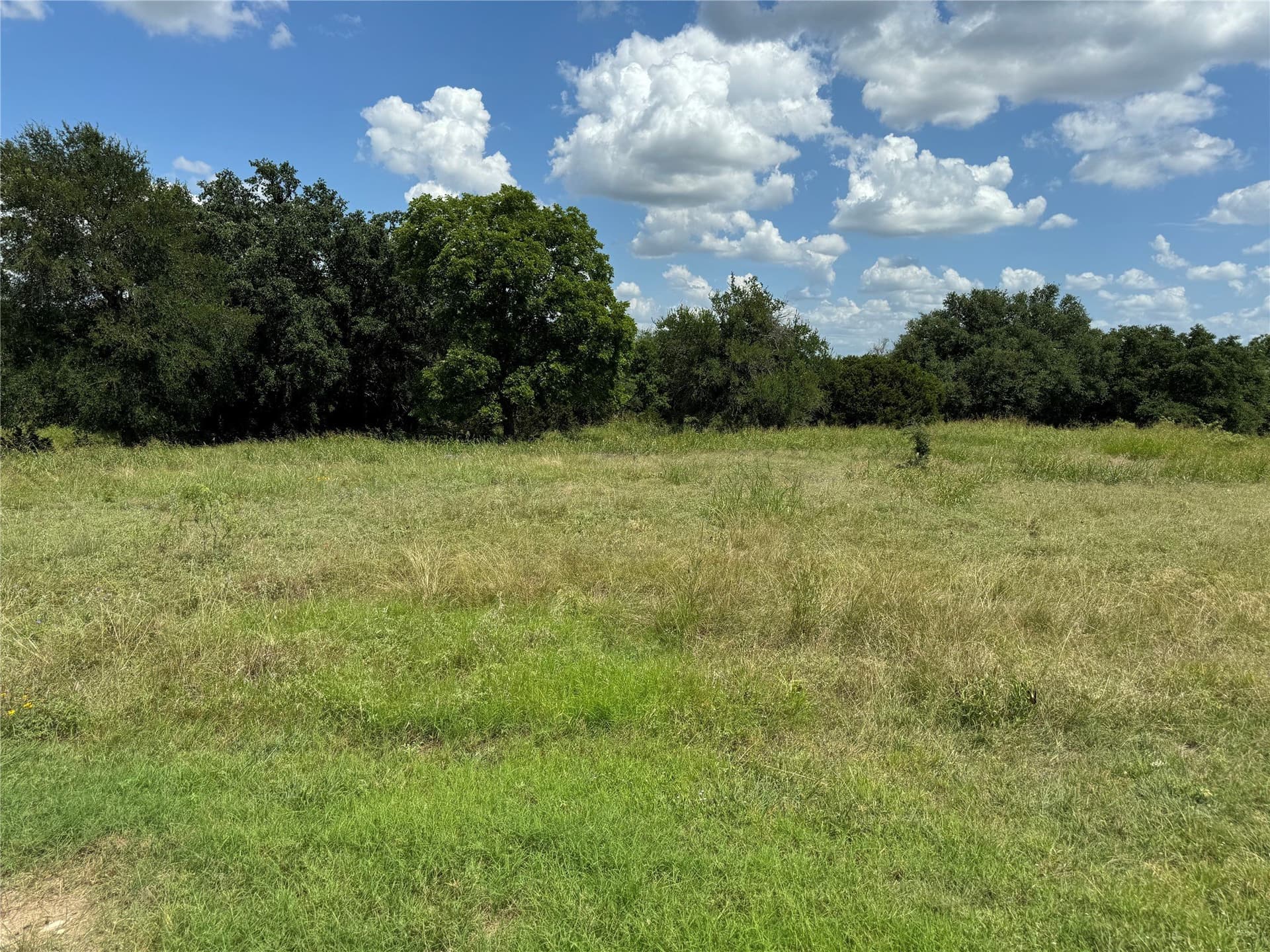 0.3 acres in Hill County - photo 2