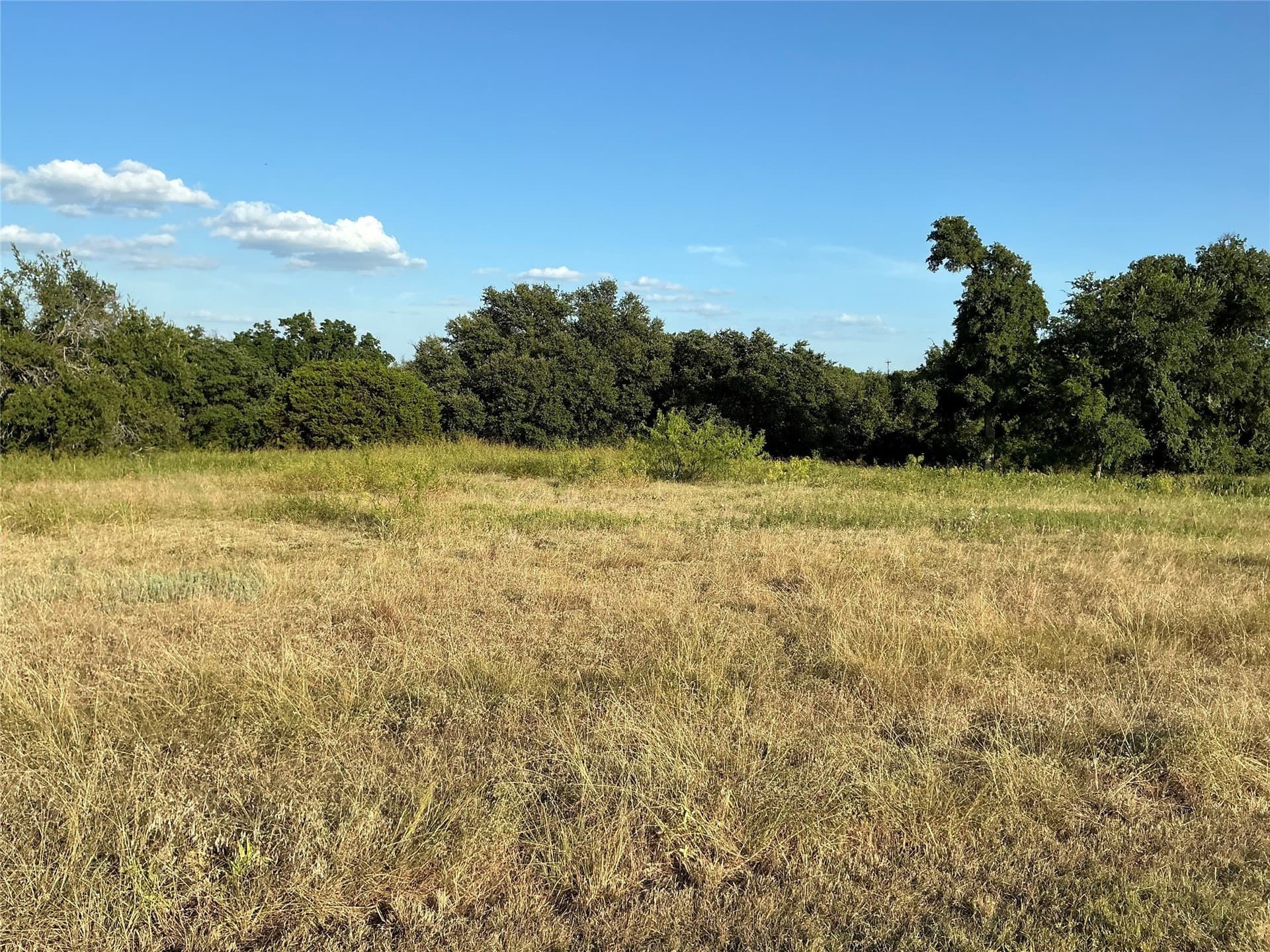 0.3 acres in Hill County - photo 7