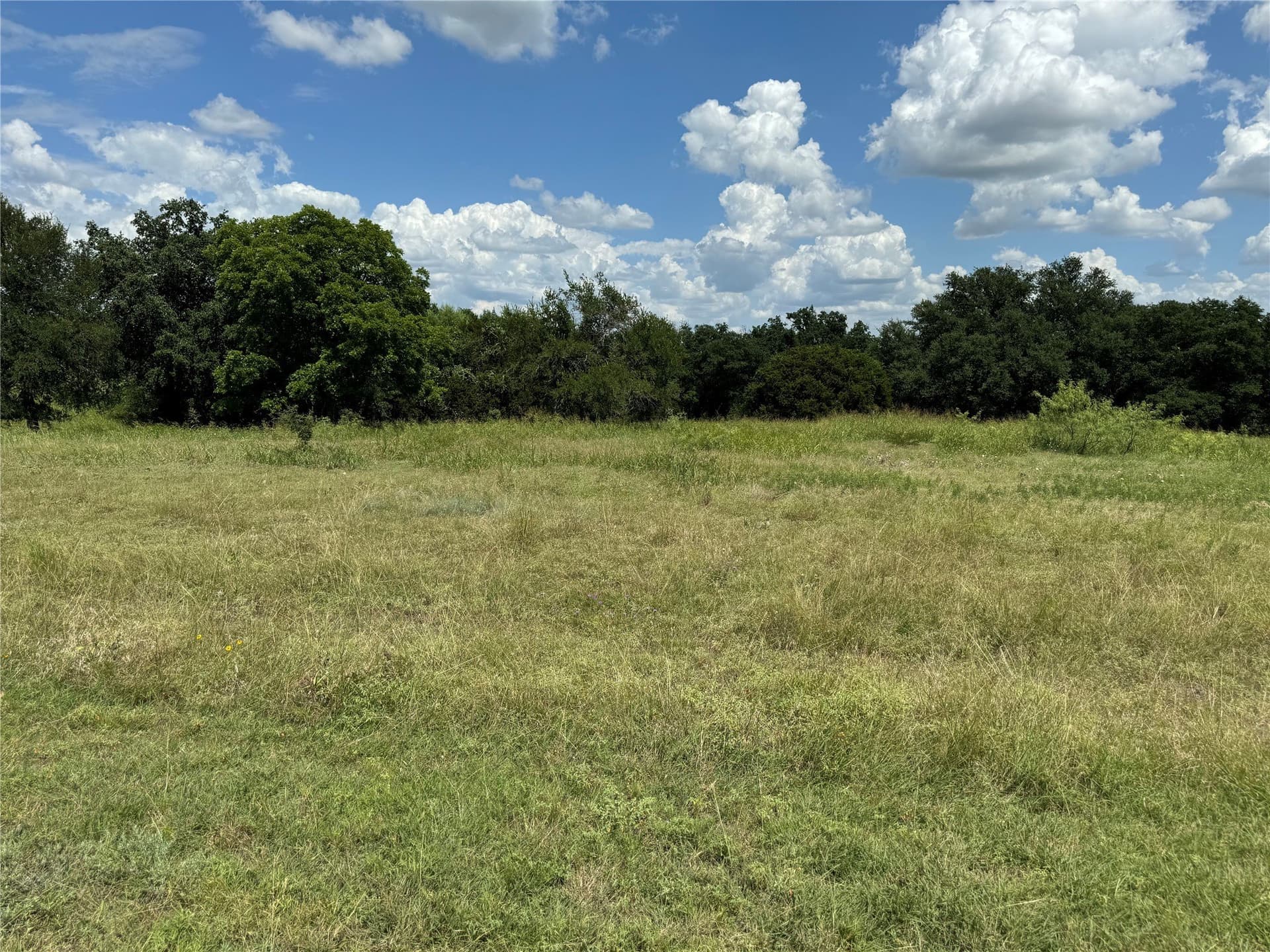 0.3 acres in Hill County - photo 3
