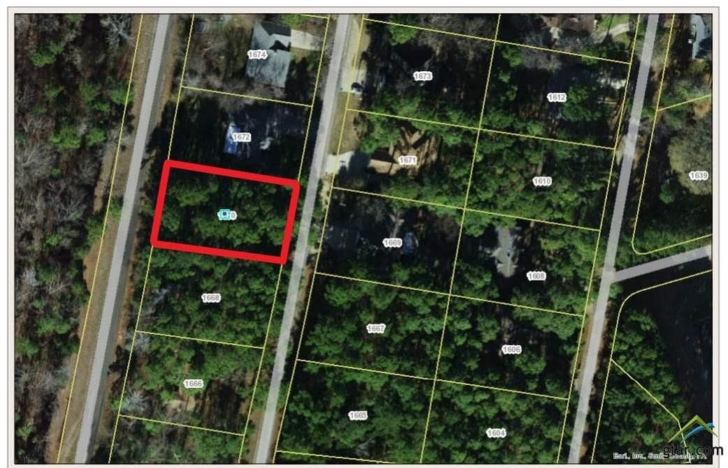 0.34 acres in Smith County gallery image 2