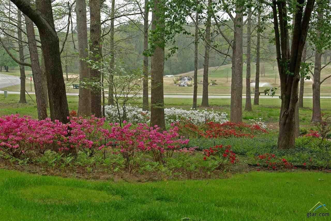 0.34 acres in Smith County featured view