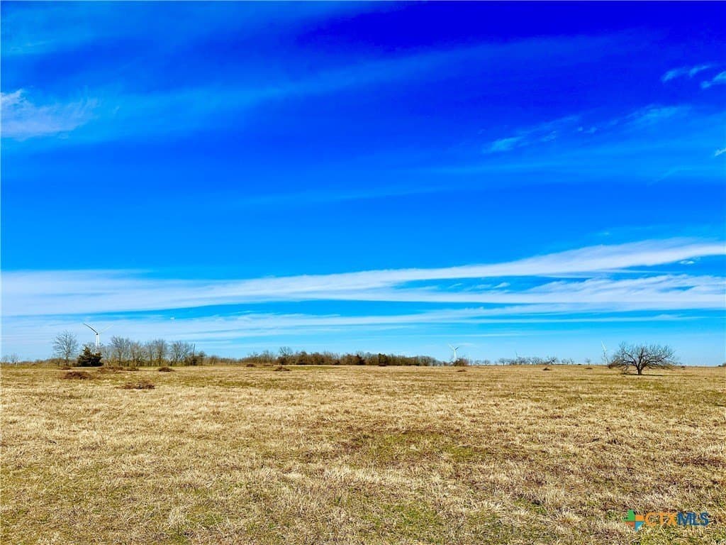 10 acres in Limestone County gallery image 2