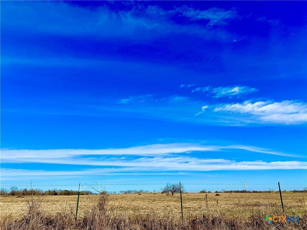 10 acres in Limestone County - photo 6