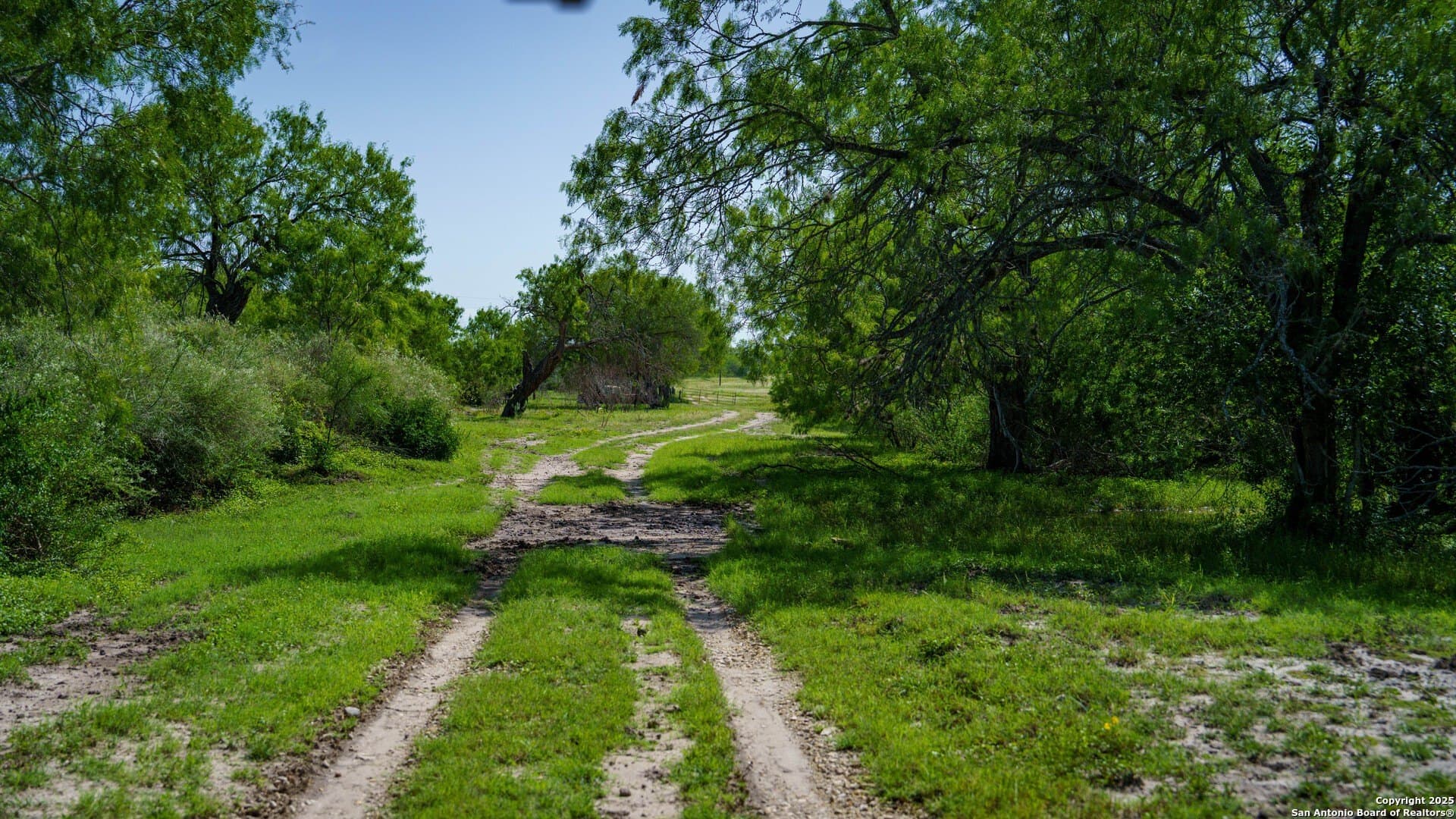 200.12 acres in Wilson County gallery image 2