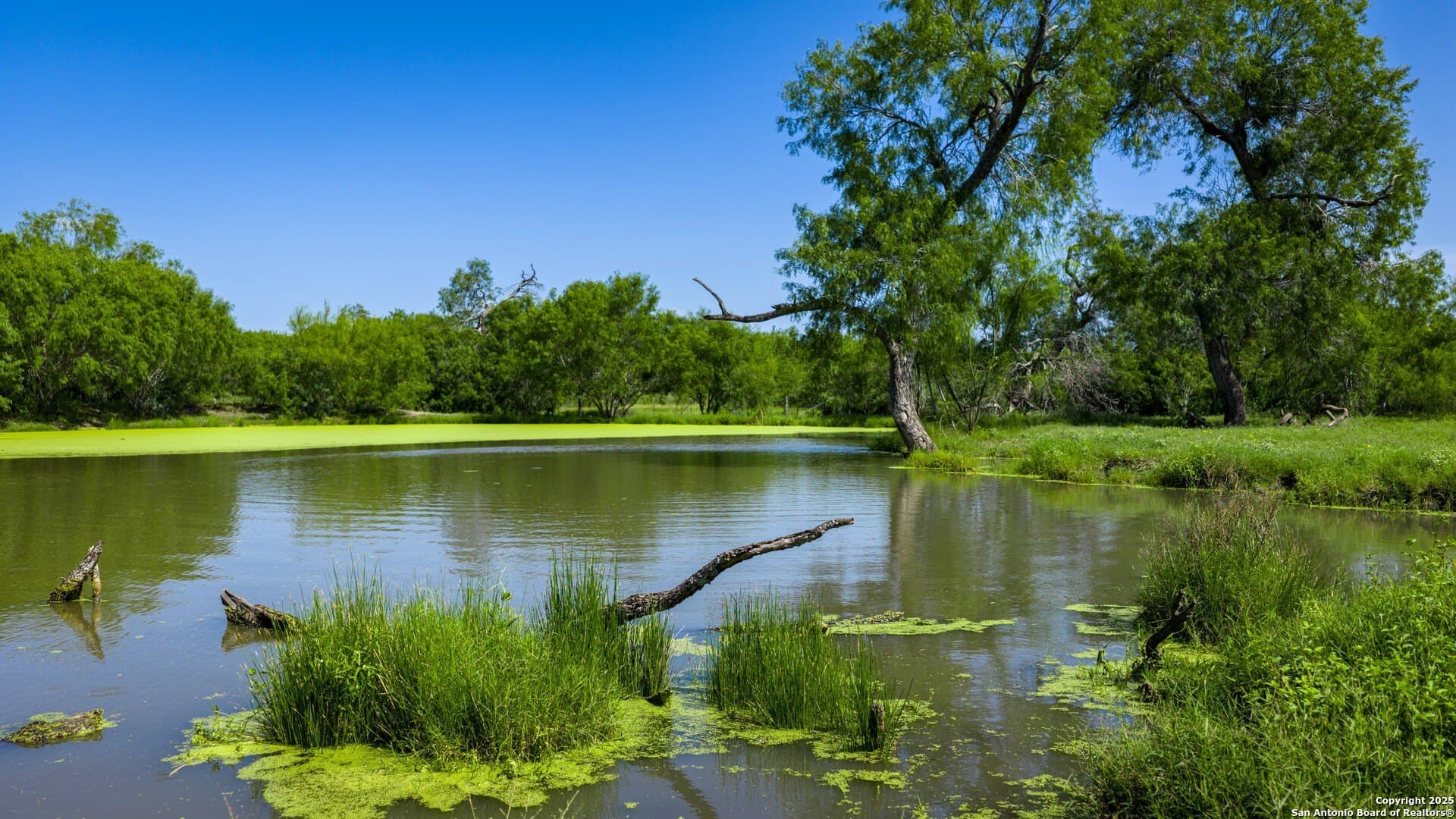 200.12 acres in Wilson County featured view