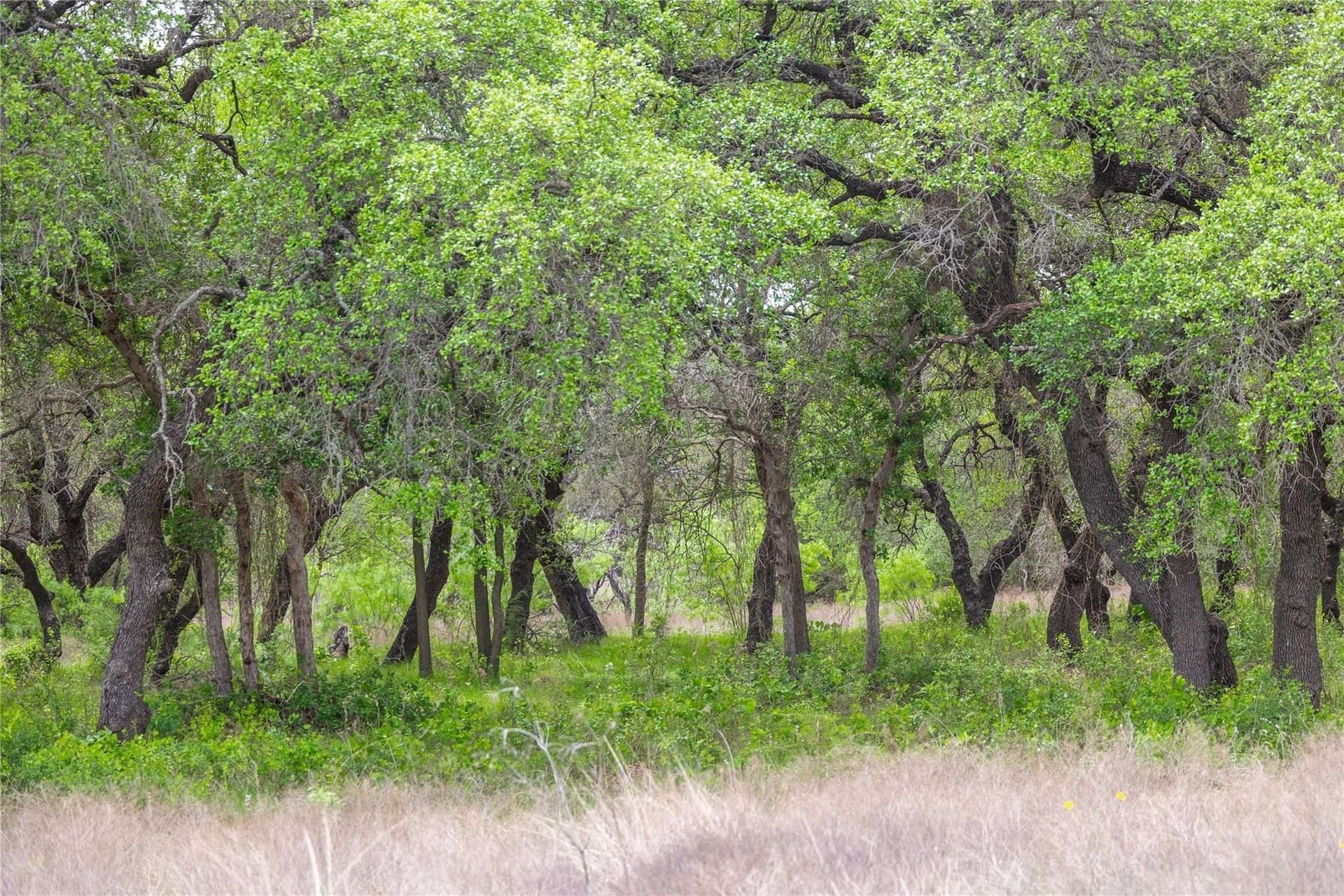 20.02 acres in Comanche County - photo 23