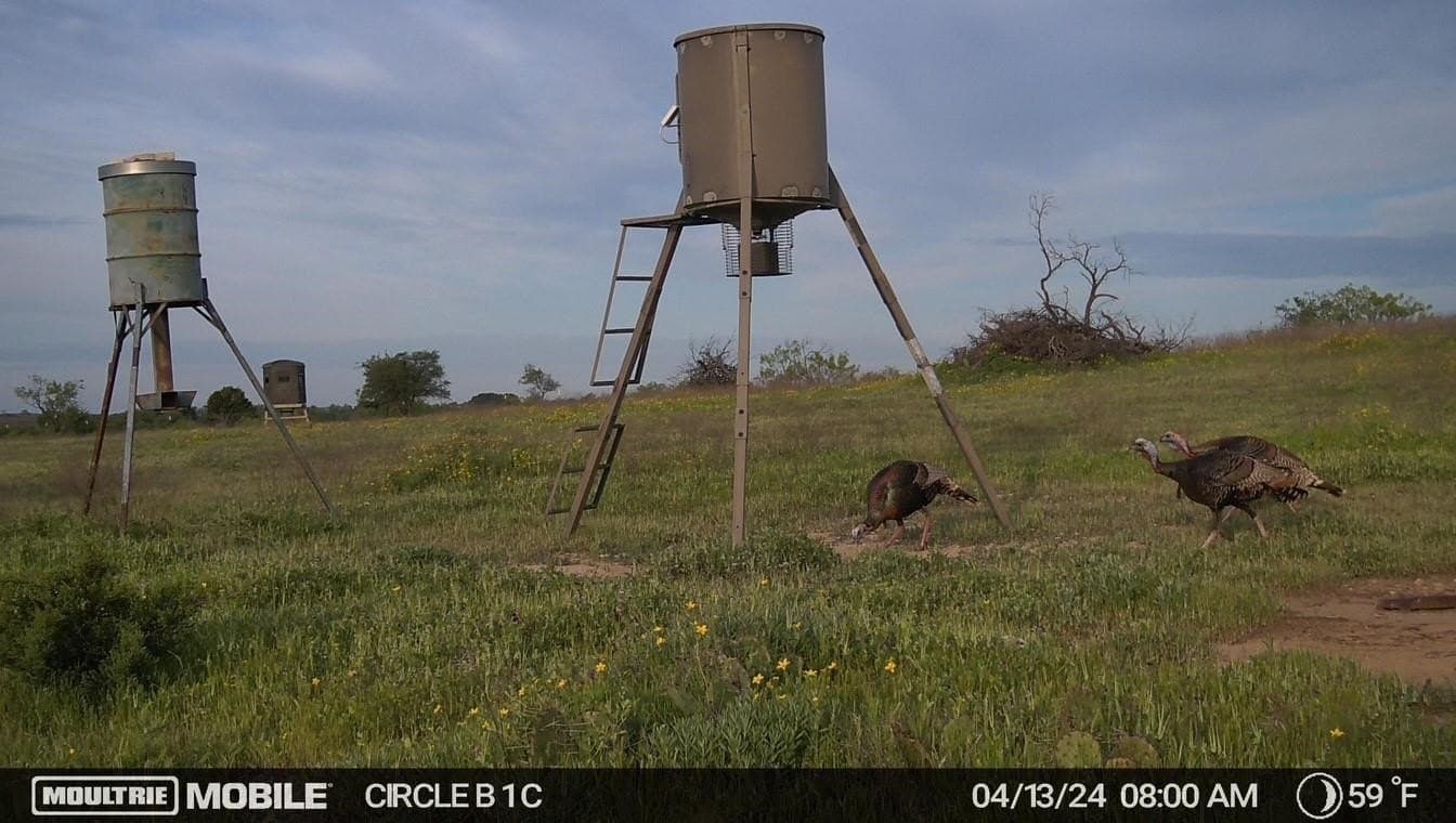 20.02 acres in Comanche County - photo 38