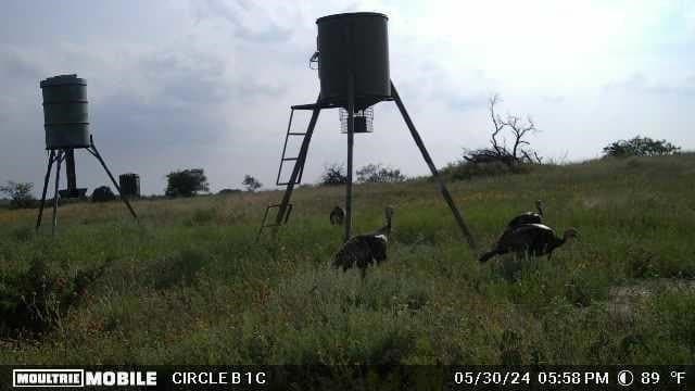 20.02 acres in Comanche County - photo 39