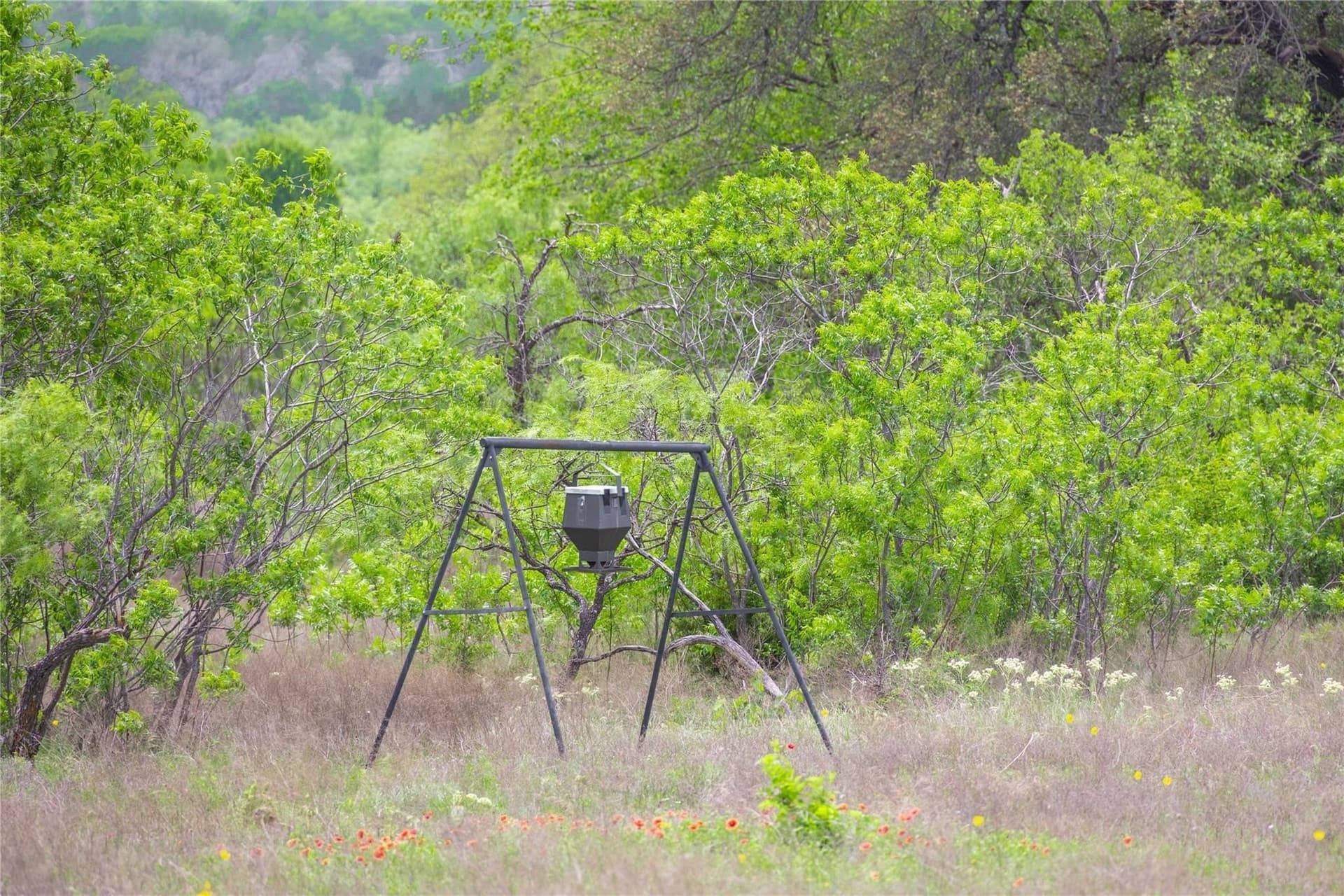 20.02 acres in Comanche County - photo 20
