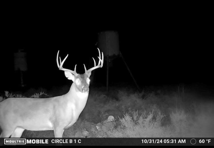 20.02 acres in Comanche County - photo 32