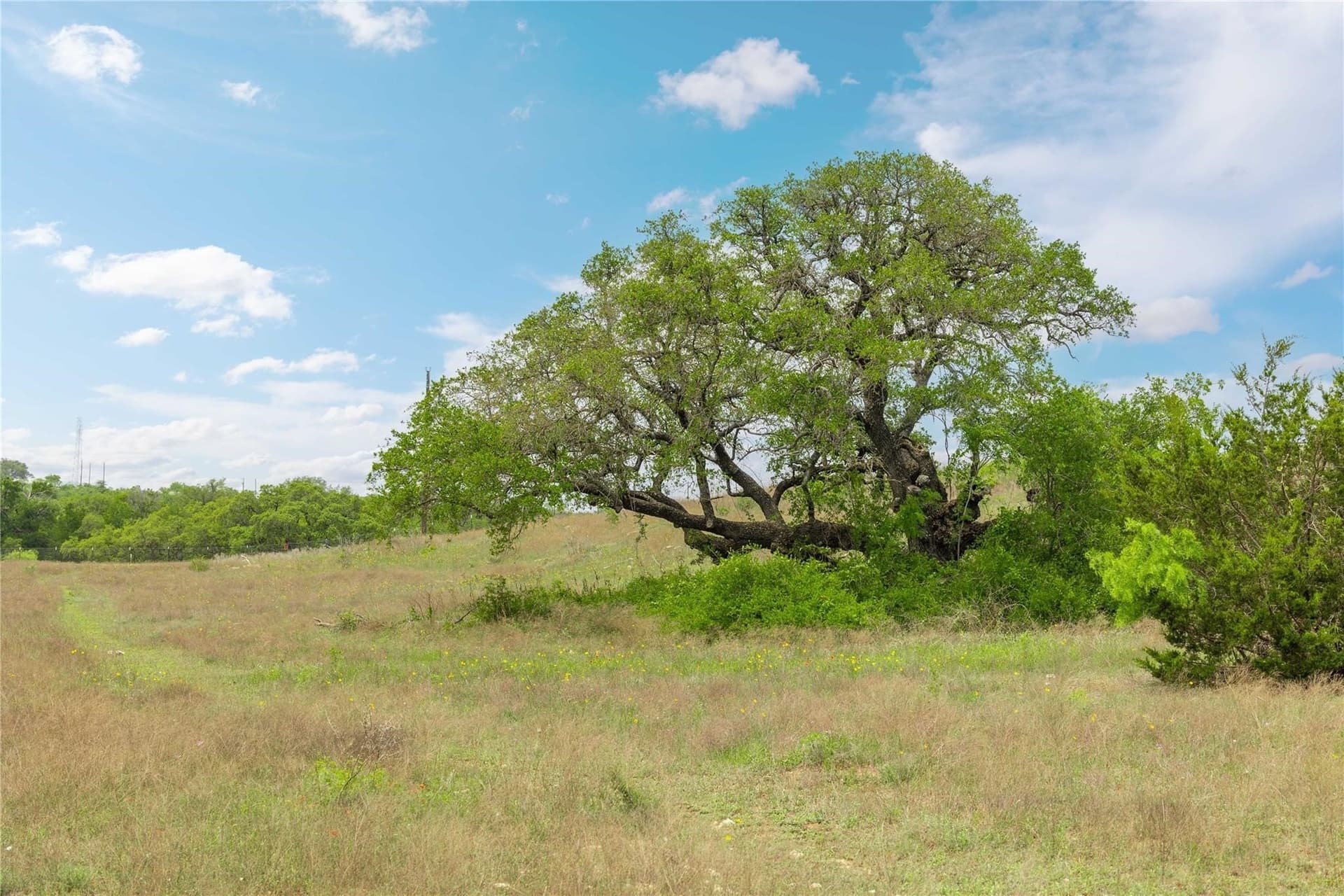 20.02 acres in Comanche County - photo 21