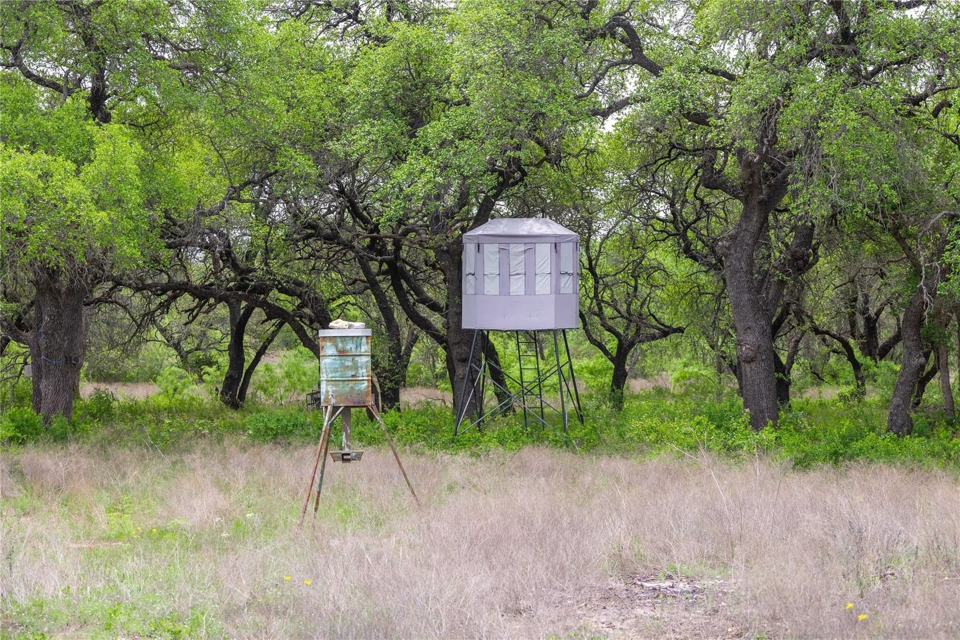 20.02 acres in Comanche County - photo 22
