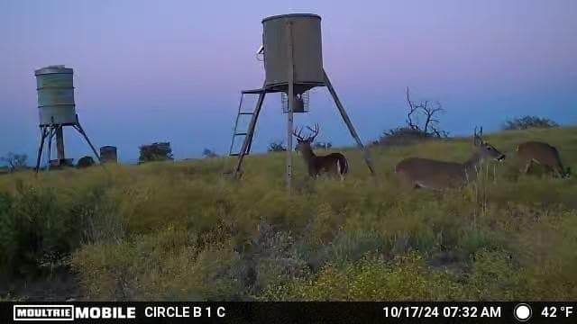 20.02 acres in Comanche County - photo 34