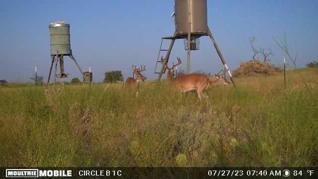20.02 acres in Comanche County - photo 37