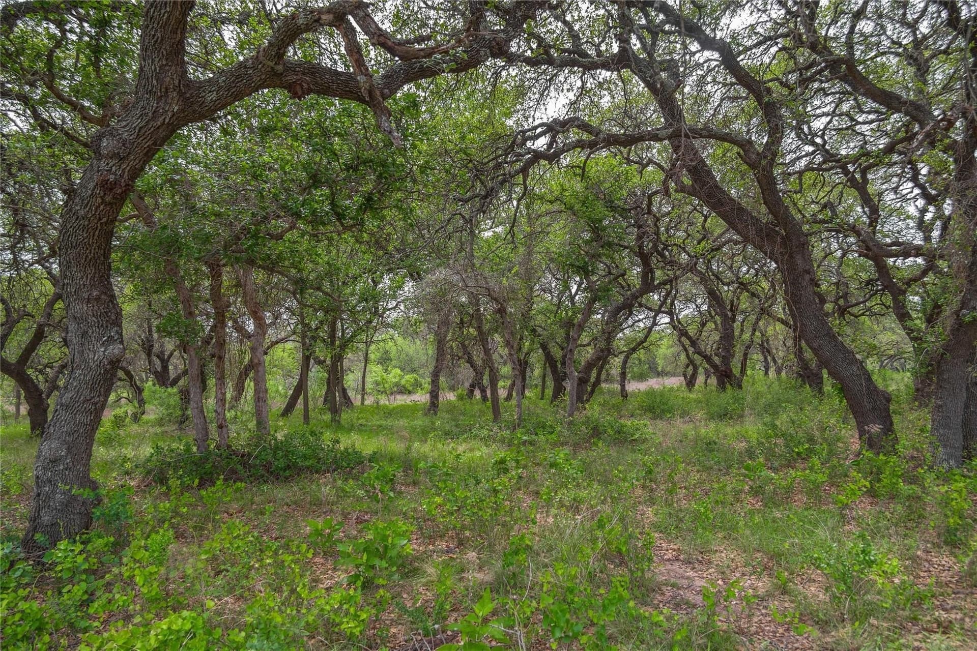 20.02 acres in Comanche County - photo 26