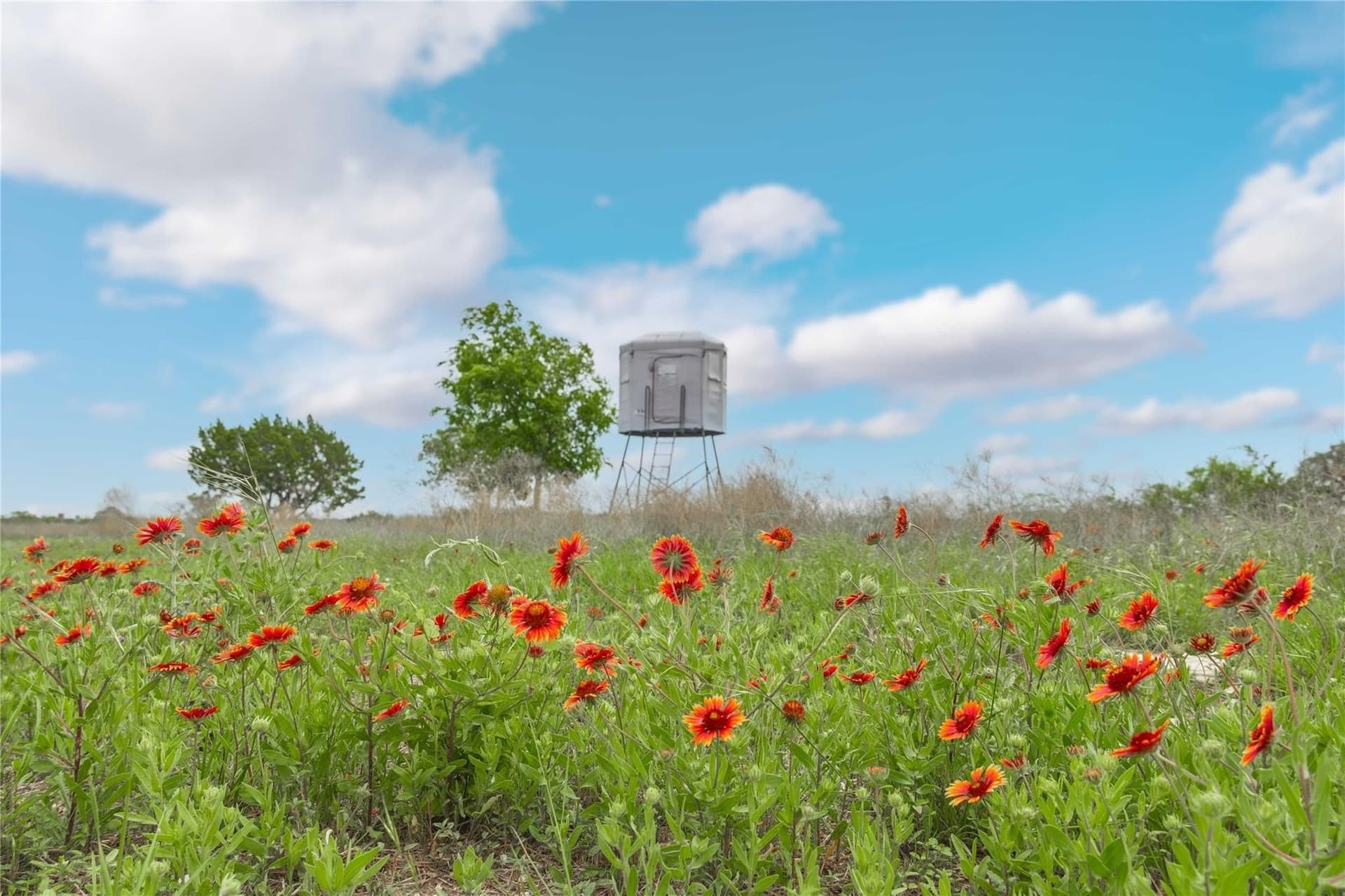 20.02 acres in Comanche County - photo 15