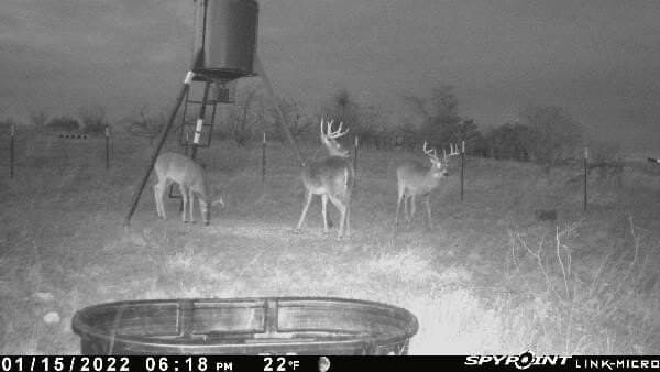 20.02 acres in Comanche County - photo 36