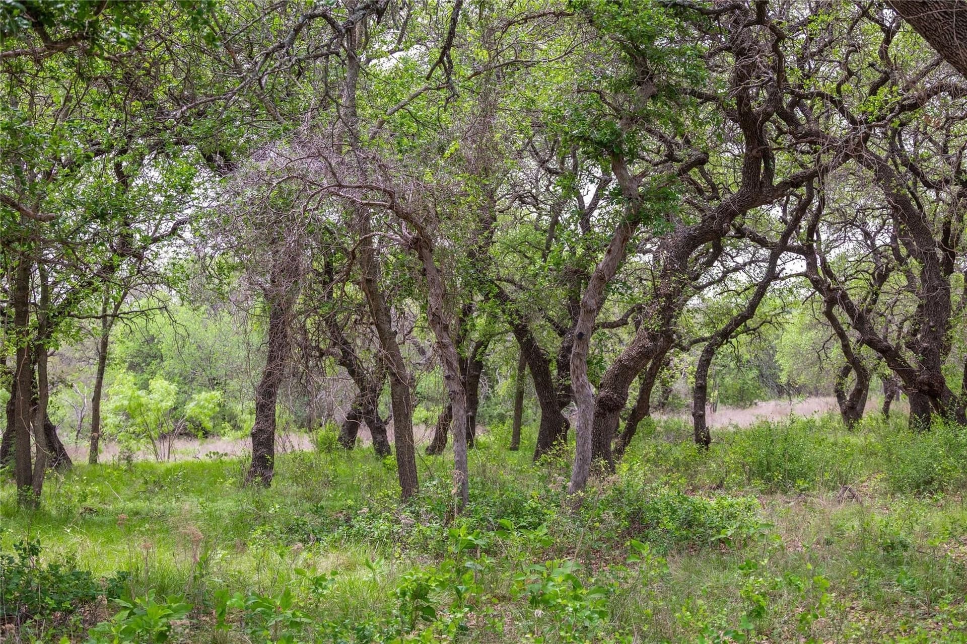 20.02 acres in Comanche County - photo 25