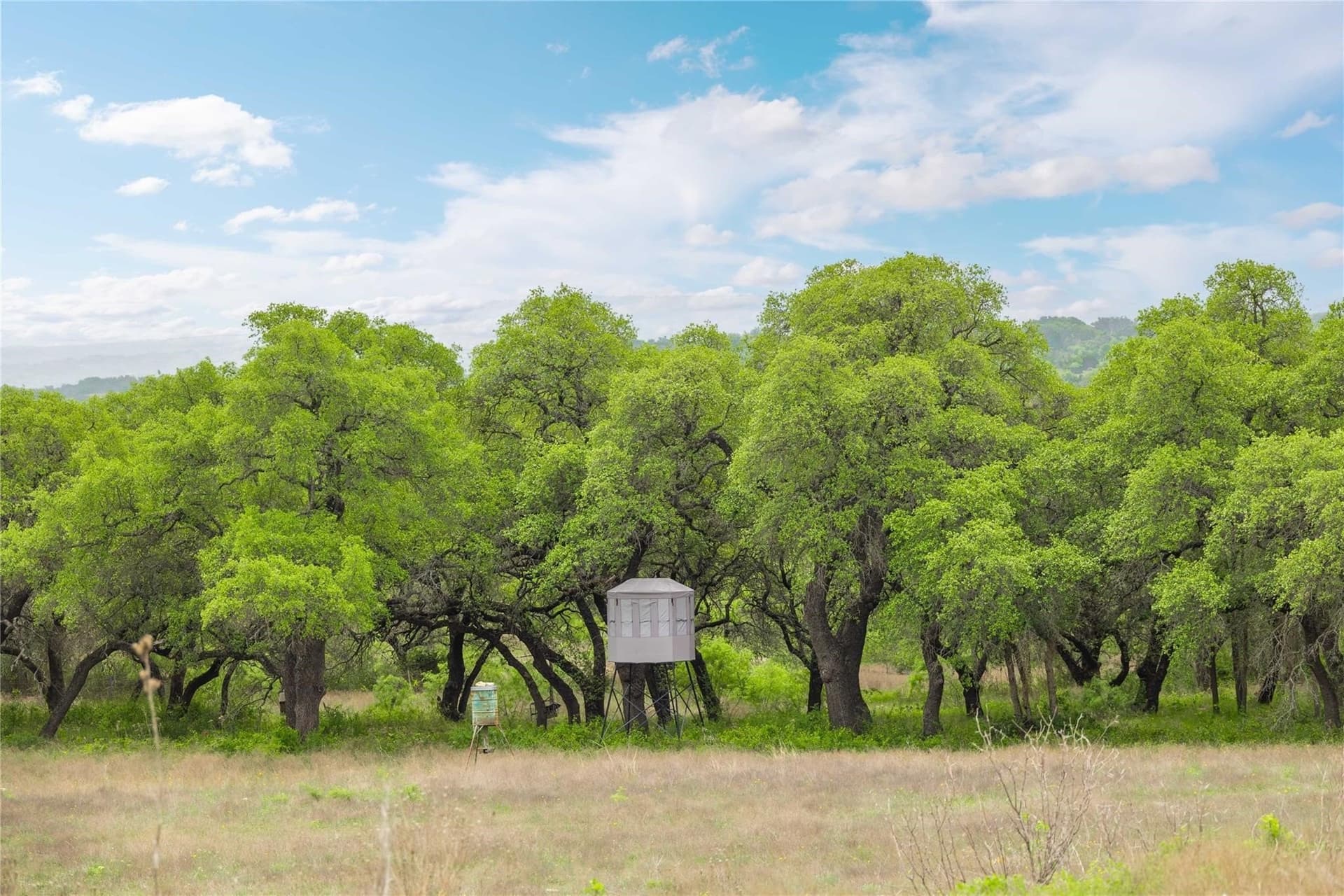 20.02 acres in Comanche County - photo 17