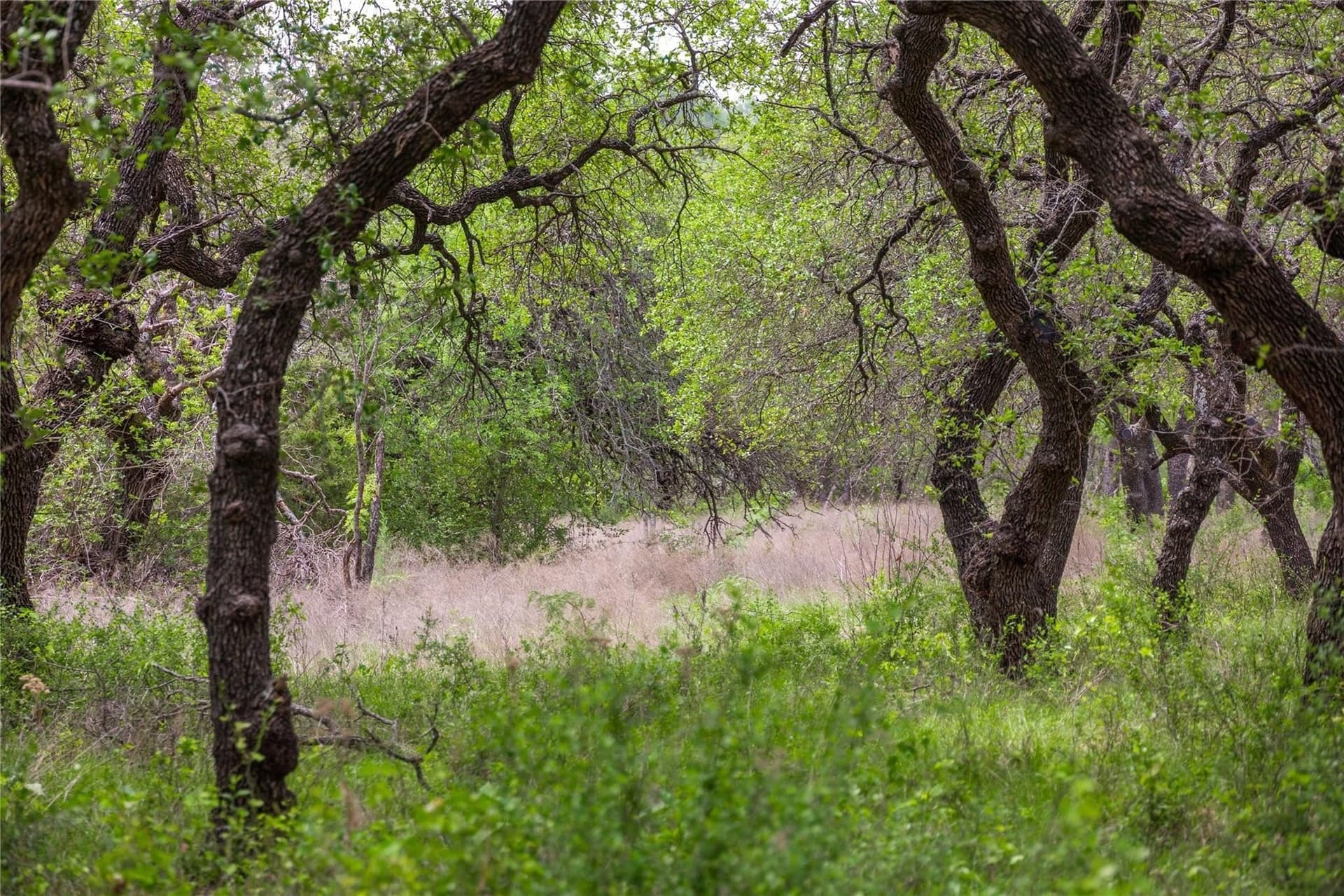 20.02 acres in Comanche County - photo 27