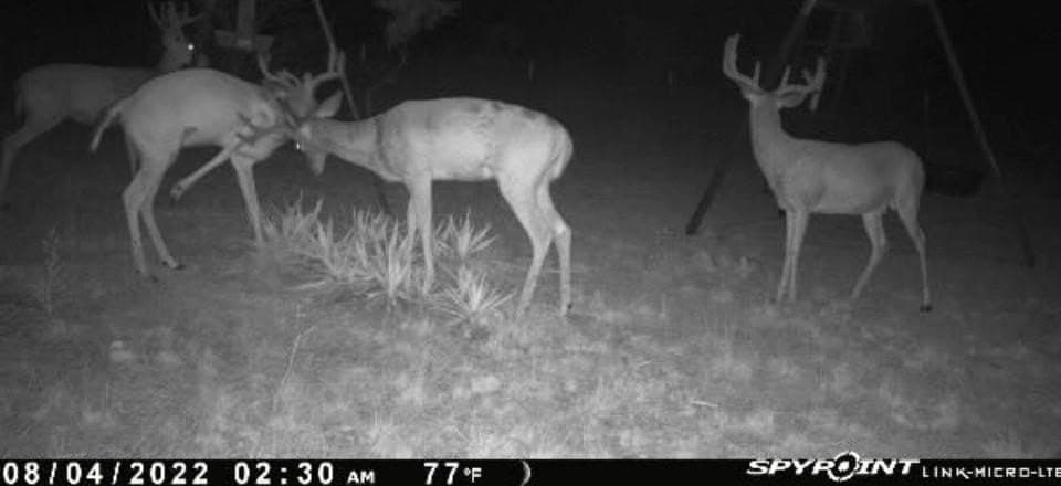 20.02 acres in Comanche County - photo 35