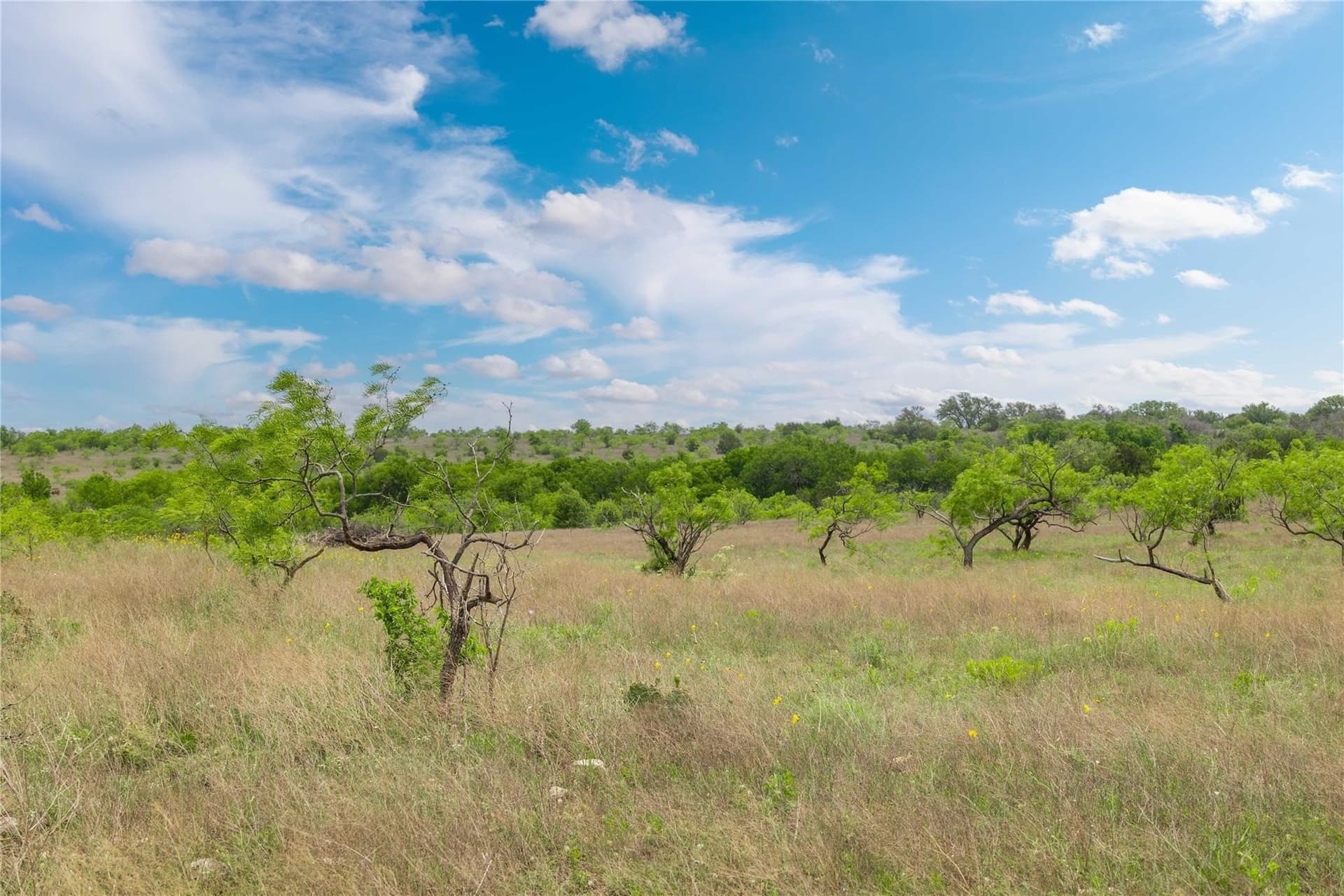 20.02 acres in Comanche County - photo 19
