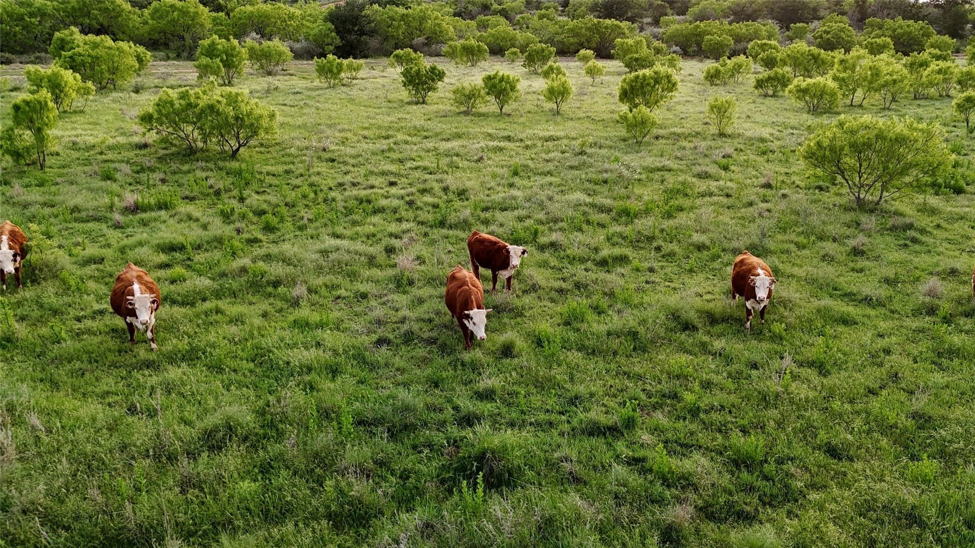 290 acres in Mills County - photo 32