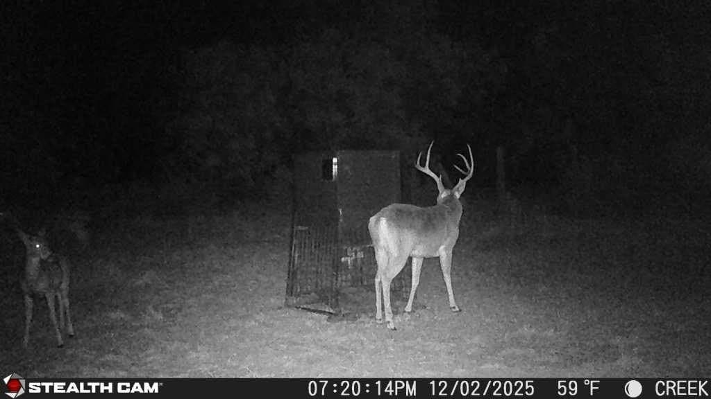 290 acres in Mills County - photo 33