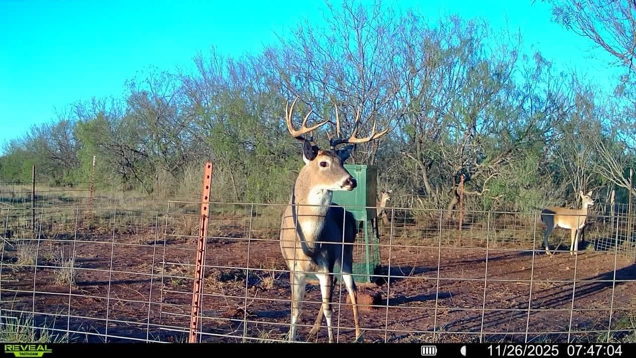 290 acres in Mills County - photo 35
