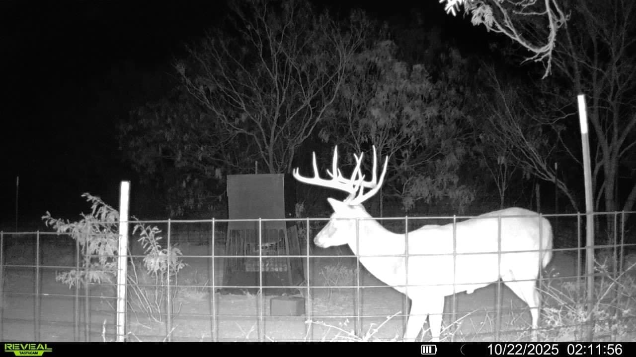290 acres in Mills County - photo 34