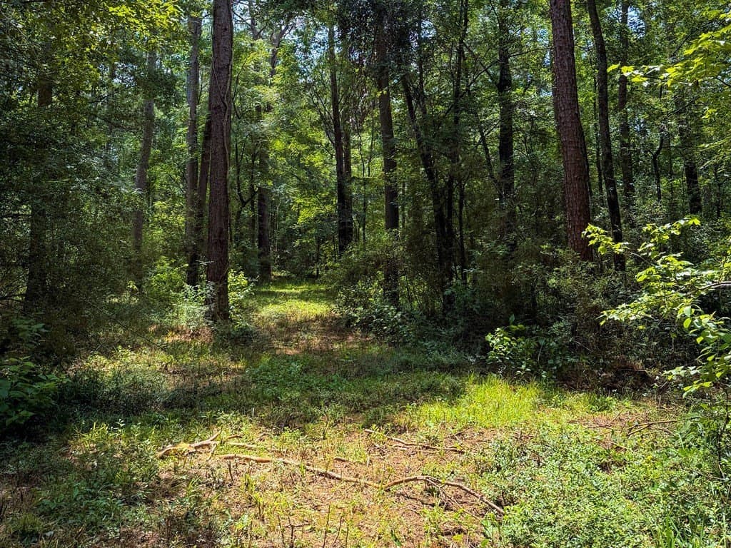 26 acres in Texas County - photo 46