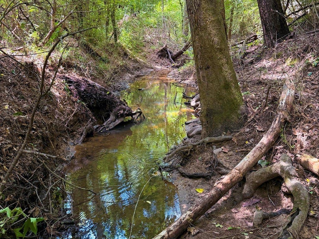 26 acres in Texas County - photo 44
