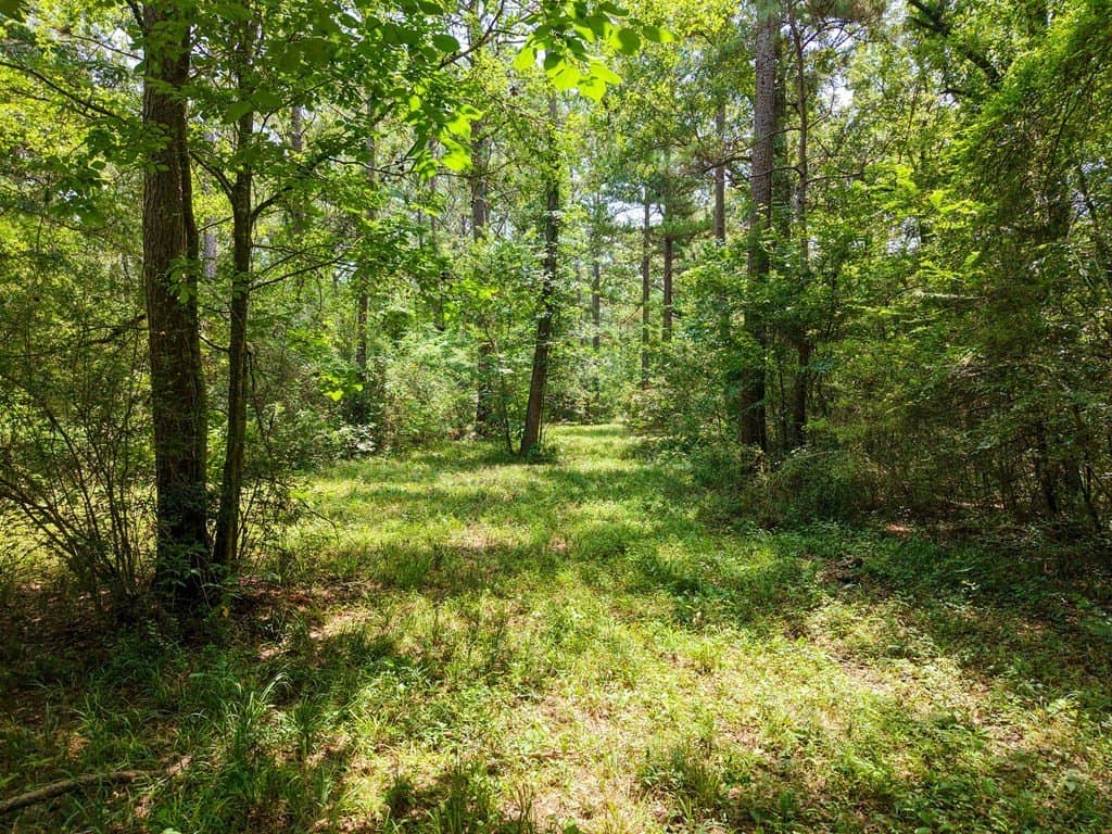 26 acres in Texas County - photo 41