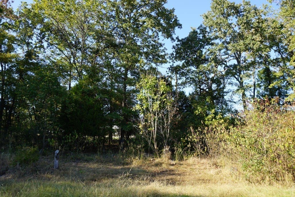 0.25 acres in Henderson County - photo 9