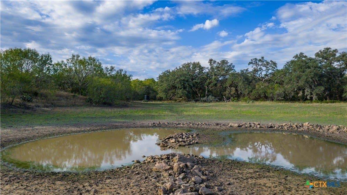 52.65 acres in Comal County gallery image 4