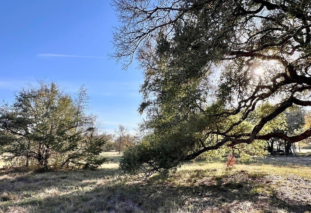 3.63 acres in Burleson County gallery image 3