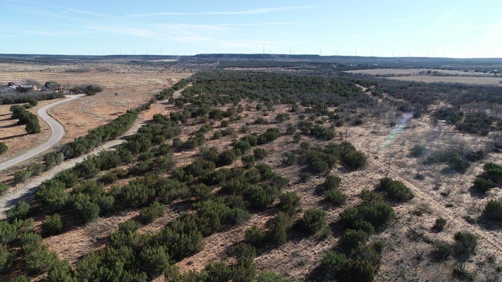 26.56 acres in Nolan County - photo 10