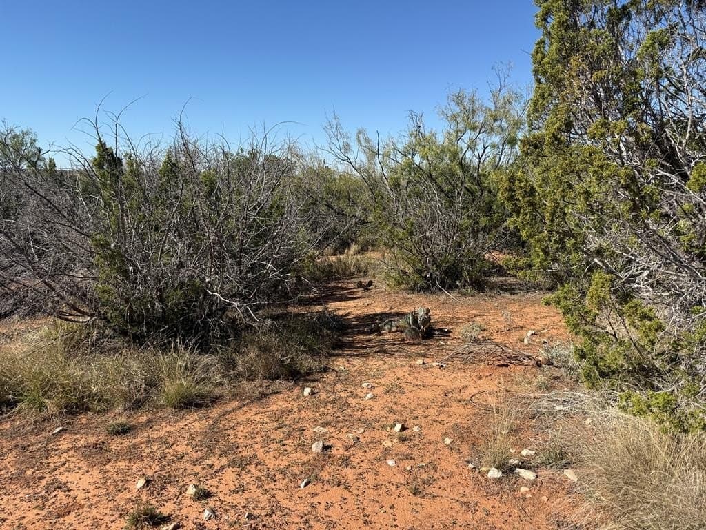 26.56 acres in Nolan County - photo 15