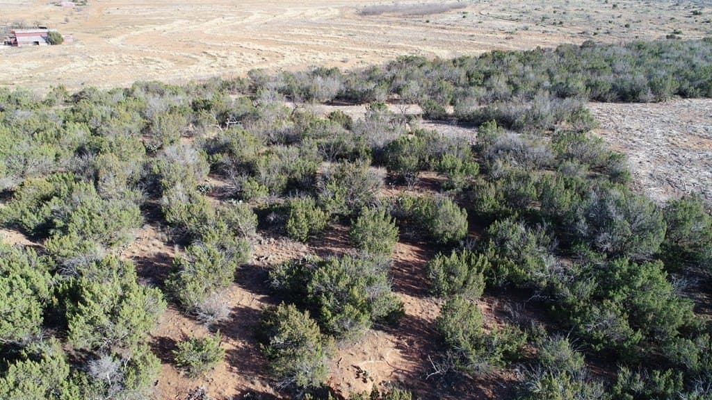 26.56 acres in Nolan County gallery image 3
