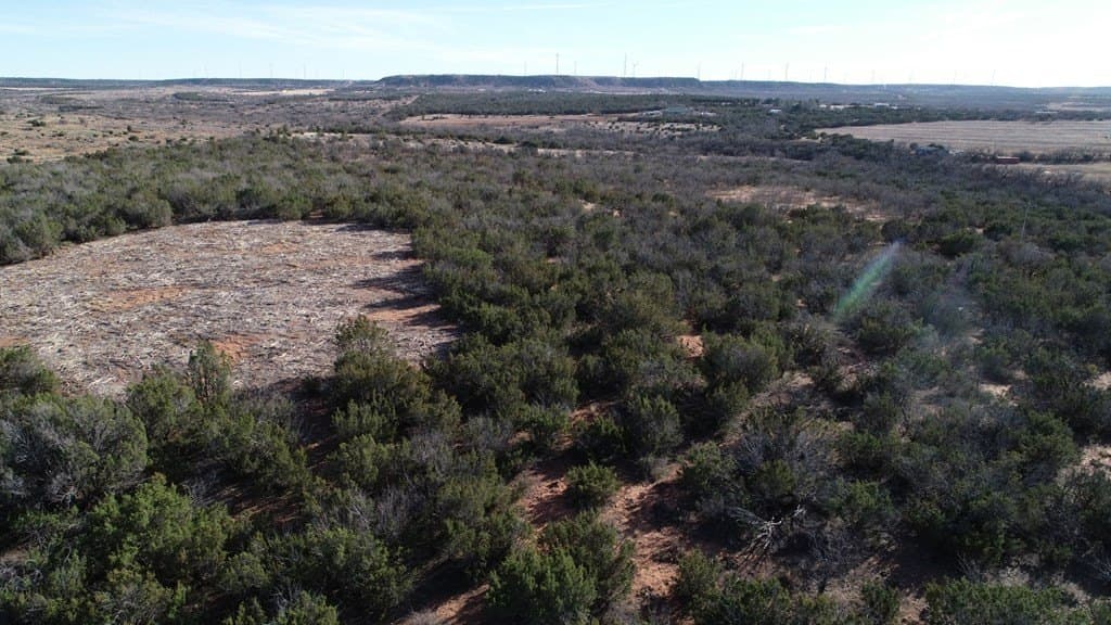 26.56 acres in Nolan County gallery image 2
