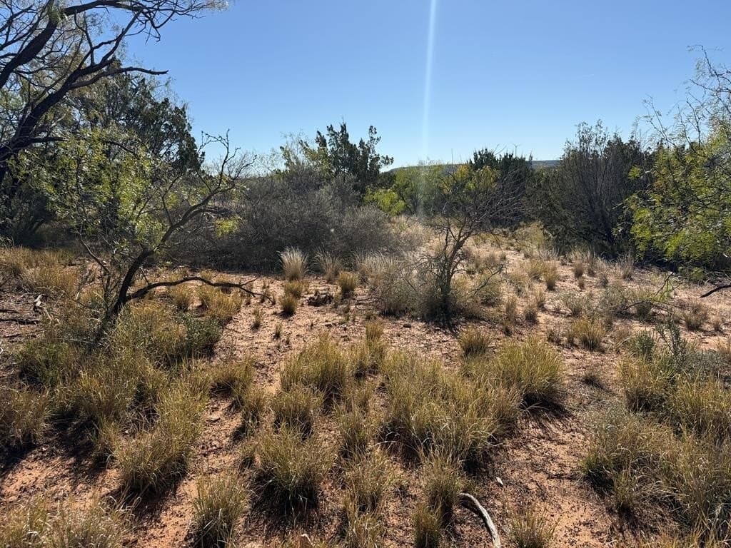 26.56 acres in Nolan County - photo 16