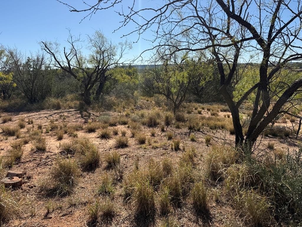26.56 acres in Nolan County - photo 18