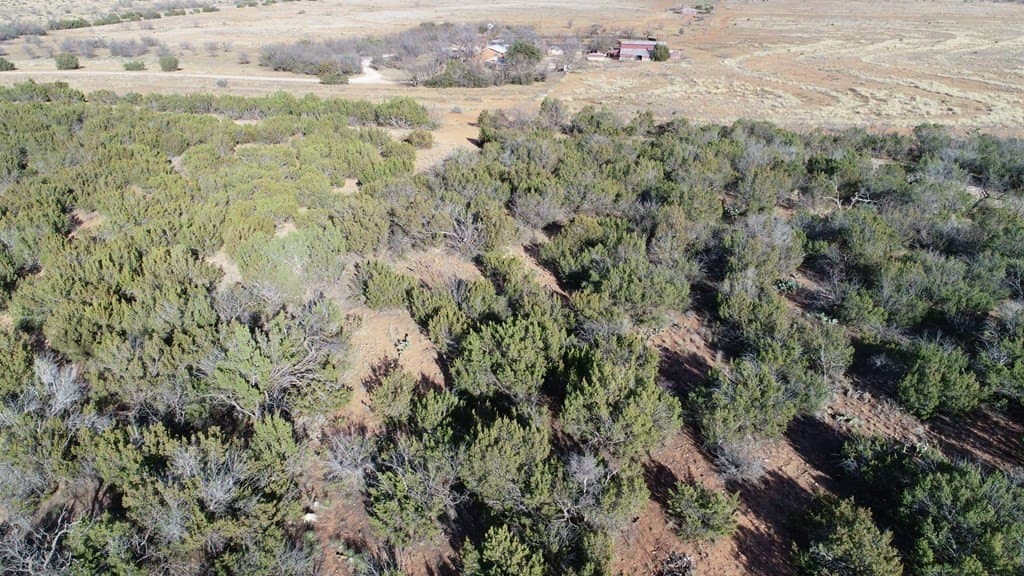 26.56 acres in Nolan County gallery image 4