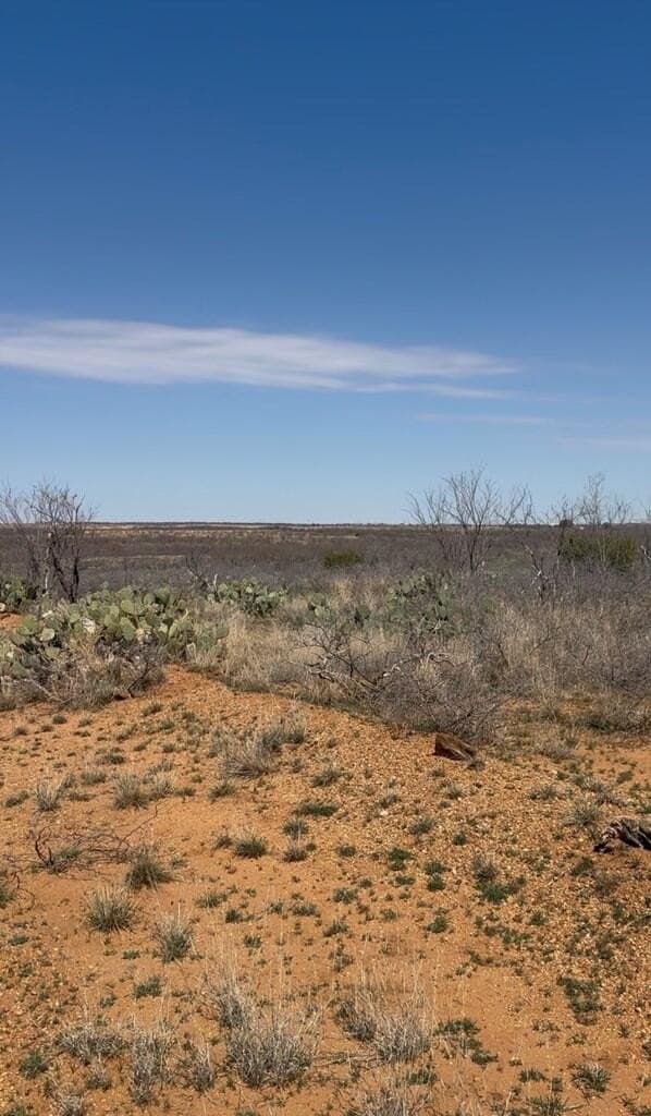 28.11 acres in Mitchell County - photo 2